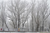 KAR KALINLIĞI - Ağrı'da Kar Yağışının Ardından Soğuk Hava Etkili Oluyor