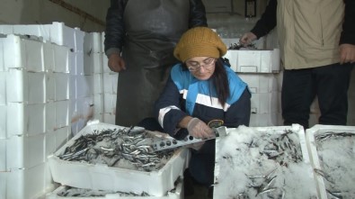 Ankara'daki Balıkçılara Gece Denetimi