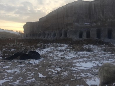 Belediye Başkanı Köpekler İçin Dağda Oyuk Açtırdı
