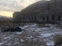 SOKAK KÖPEKLERİ - Belediye Başkanı Köpekler İçin Dağda Oyuk Açtırdı