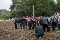 GÜVENLİK SİSTEMİ - Bodrum'da Ata Tohumları Geleceğe Serpildi