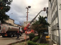 Ceyhan Belediyesinde Yangın