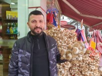 İRAN - (Özel) Taşköprü Sarımsağı, Kastamonu'da 40 Liradan Alıcı Buluyor