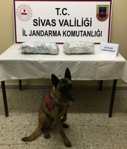 Sivas'ta 3 Kilo 155 Gram Esrar Ele Geçirildi