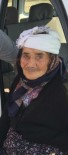 SALDıRı - Sokak Köpeği, Yaşlı Kadının Yüzünü Parçaladı