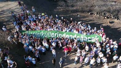 Tunç Soyer'den Fidan Dikimine Davet Var