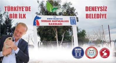 Türkiye'nin İlk 'Deneysiz Belediye'si Didim Oldu