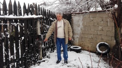 Aç Kalan Köpekler Küçükbaş Hayvanlara Saldırıyor