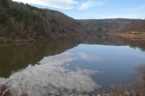 ABANT - Bilecik'in Pazaryeri İlçesi Abant'ta Rakip