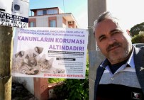 ÇEŞMELI - Çeşmeli Muhtar, Sokak Hayvanlarının Haklarını Hatırlattı