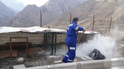 Hakkari'de Hayvan Bakım Evleri Dezenfekte Edildi