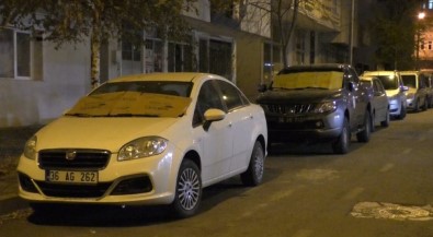 Kars'ta Araçlara Halılı Ve Battaniyeli Koruma