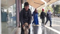 SOKAK KÖPEKLERİ - Kızıltepeli Çocuk Yiyeceğini Sokak Köpeği İle Paylaştı