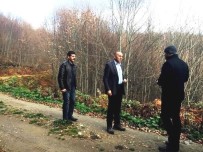 ORMAN İŞLETME MÜDÜRÜ - Müdür Keskin, Kayın Ormanlarında İncelemelerde Bulundu