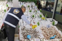 SOKAK HAYVANI - Çankaya Zabıtasından 26 Bin Denetim