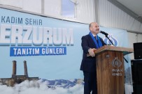 ZEYTİN DALI HAREKATI - İçişleri Bakanı Soylu Açıklaması 'Şen Yayla'da Bizim Evlatlarımız 5 Teröristi Daha Derdest Etti'