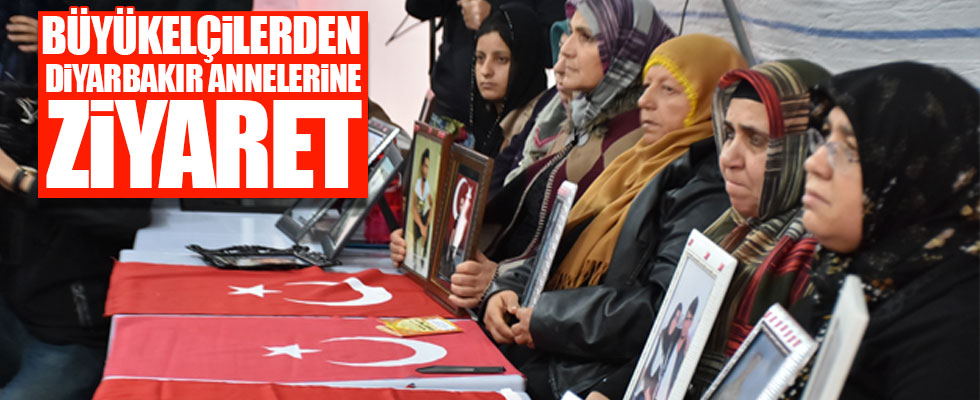 Büyükelçilerden Diyarbakır annelerine ziyaret