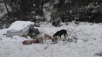 'Doğaya Atık Değil Canlılara Katık' Projesi Haberi
