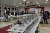 MARATON - Güvercin Severleri Buluşturan Fuar