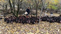 TAVUK ÇİFTLİĞİ - İşsiz Kaldı, Kendi İmkanları İle Tavuk Çiftliği Kurdu