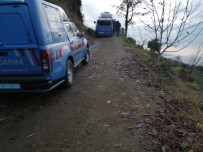 OSMAN SARUHAN - Ot Toplarken Dik Arazide Düşerek Yuvarlanan Yaşlı Kadın Hayatını Kaybetti