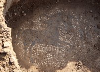 ÇINGENE - Tarlalarında Tarihi Eser Buldular Satmak İsterken Yakalandılar