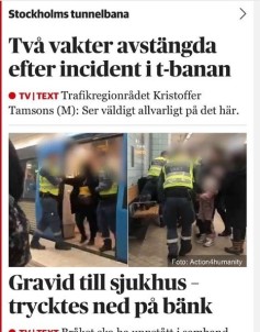 İsveç'te Güvenlik Görevlilerinden Hamile Kadına Orantısız Güç
