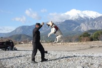 KADER - Kayıp Buse'yi Arama Çalışmalarında 9. Gün