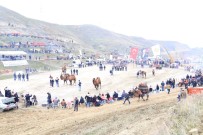 Pehlivan Develer Pazar Günü Sarayköy Arenasında Buluşuyor