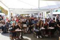 SERDİVAN BELEDİYESİ - Sakarya'da Nüfusu En Çok Artan İlçe Serdivan Oldu