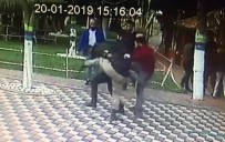 BAŞSAVCıLıK - Saldırganlar Yakalandı