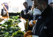 ENGELLİ VATANDAŞ - Belediyeden Kompost Ve Solucan Gübre Tesisi İle Engellilere İş Kapısı