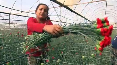 Çiçekçilerin Hedefi 2019'Da 85 Ülkeye İhracat