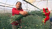 İSMAİL YILMAZ - Çiçekçilerin Hedefi 2019'Da 85 Ülkeye İhracat