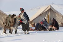 BELGESEL - Dondurucu Soğukta Belgesel Çekimi