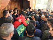 ZEYTINLIK - Eylül Bebek Toprağa Verildi