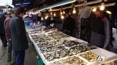 Hafta Sonu Hamsi Almak İçin Balıkçılara Giden Trabzonlular Hamsi Bulamayınca Büyük Şok Yaşadı