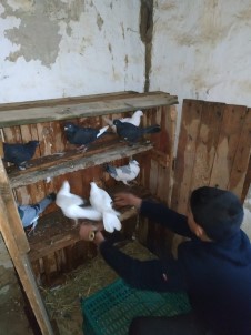 Küçük Çocuğun Çatıda Mahsur Kalan Güvercinlerini İtfaiye Kurtardı