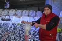 EGE DENIZI - Balıkçı Ağlarına Takılan Şeffaf Ahtapot İlgi Odağı Oldu