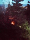 YOLKONAK - Çaldıkları Kabloları Eritirken Yangın Çıkarttılar