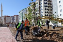CEVHER DUDAYEV - Cevher Dudayev Mahallesinde Ağaçlandırma Çalışmaları Sürüyor