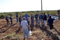 MEHMET ÖZDEMIR - Didim Ticaret Odası Başkanı Erbaş Ve Eski Başkan Döver Talan İddiasıyla Gözaltına Alındı