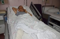 Domuz Saldırısından 'Tatlı Dille' Kurtuldu