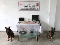 TARİHİ ESER KAÇAKÇILIĞI - Jandarma Köpekleri Uydu Ve İlgi'den Tarihi Operasyon