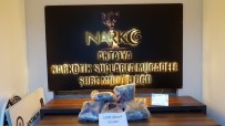 Antalya'da Uyuşturucu Operasyonu Açıklaması 1 Tutuklama