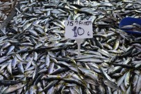 BALIKÇI ESNAFI - Balıklar Azalıyor, Esnaf Satış Yapamıyor