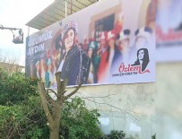 YEREL SEÇIM - CHP'li başkan ağaçları katletti!