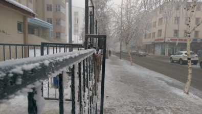 Doğu'da Soğuk Hava; Kars Eksi 20