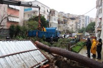 ÇAM AĞACI - İzmir Yağmura Teslim