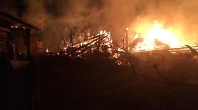 Kastamonu'da Çıkan Yangın 2 Ev Ve 2 Ahırı Kül Etti